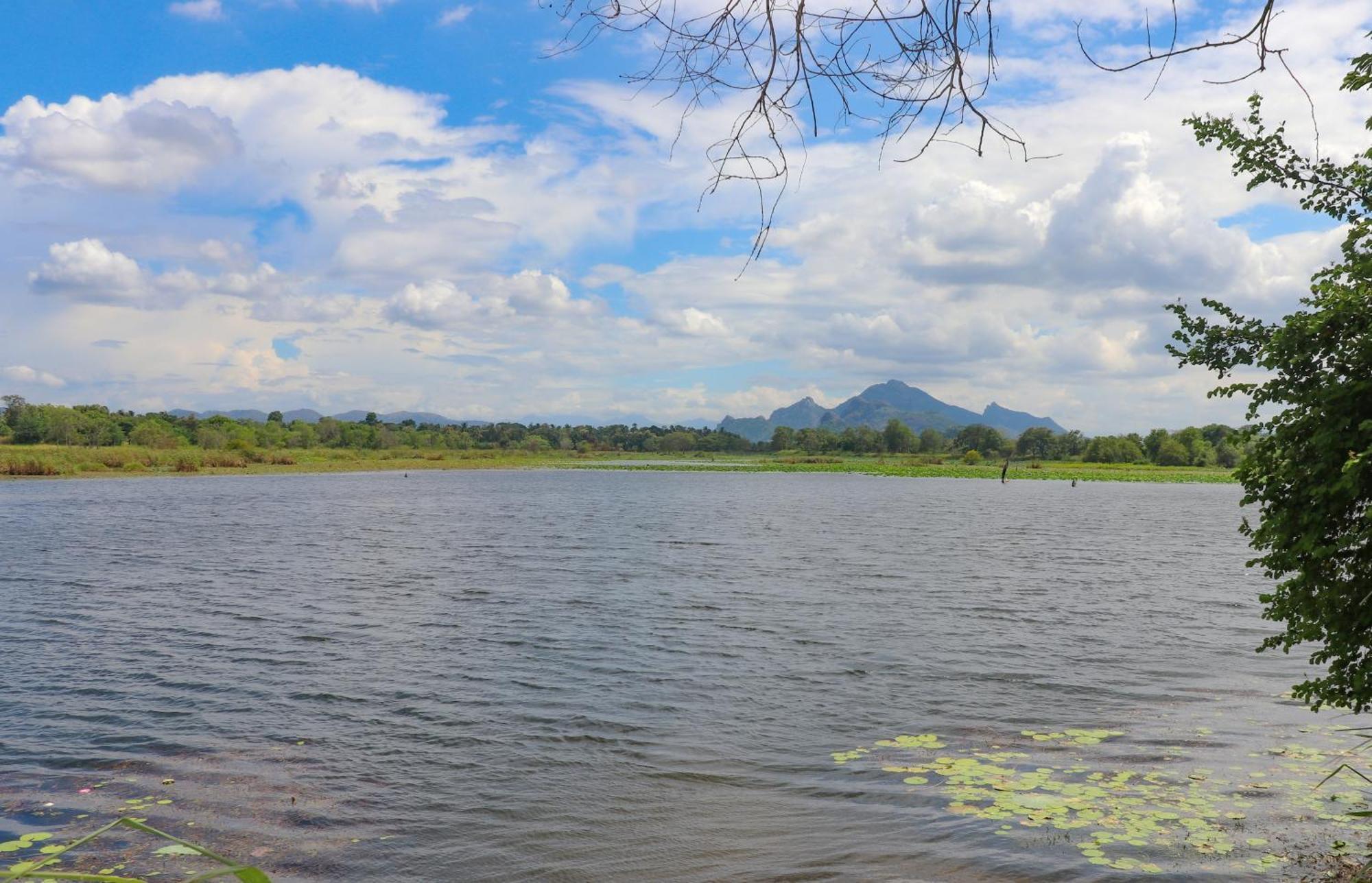 Bungalow Resort - Sigiriya Eksteriør billede