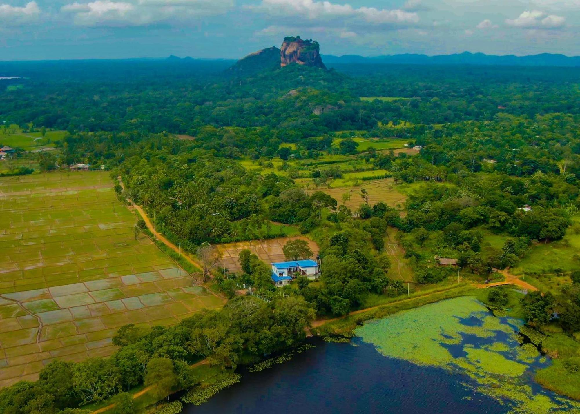 Bungalow Resort - Sigiriya Eksteriør billede